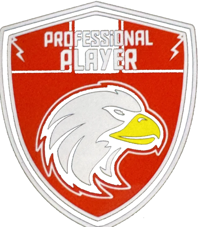 شعار Professional Player Agency